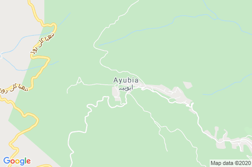 Ayubia