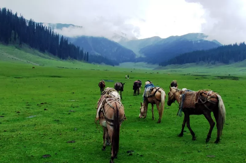 Leepa Valley Azaad Kashmir-A Fairy Land in Azad Kashmir