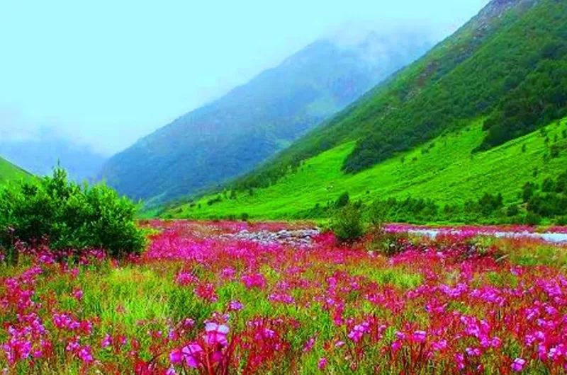 Leepa Valley Azaad Kashmir-A Fairy Land in Azad Kashmir