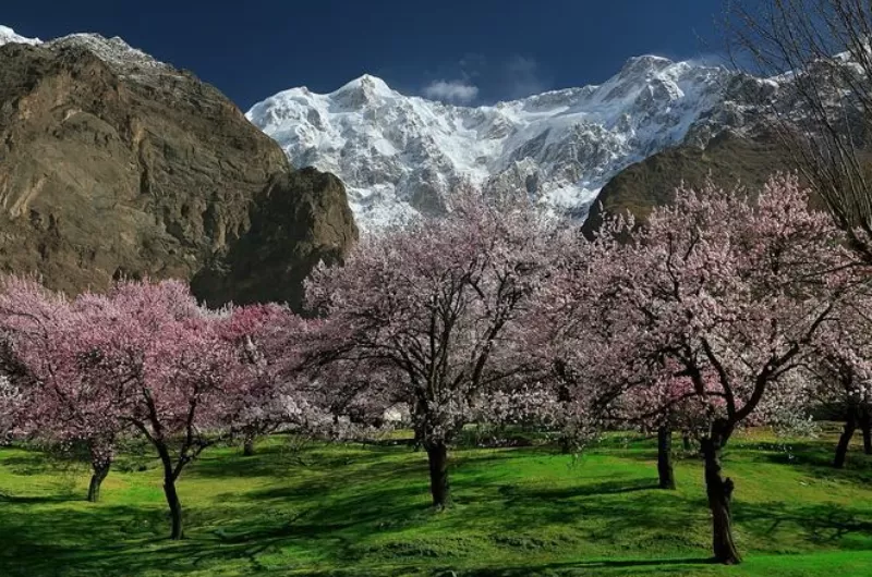 Shigar Valley