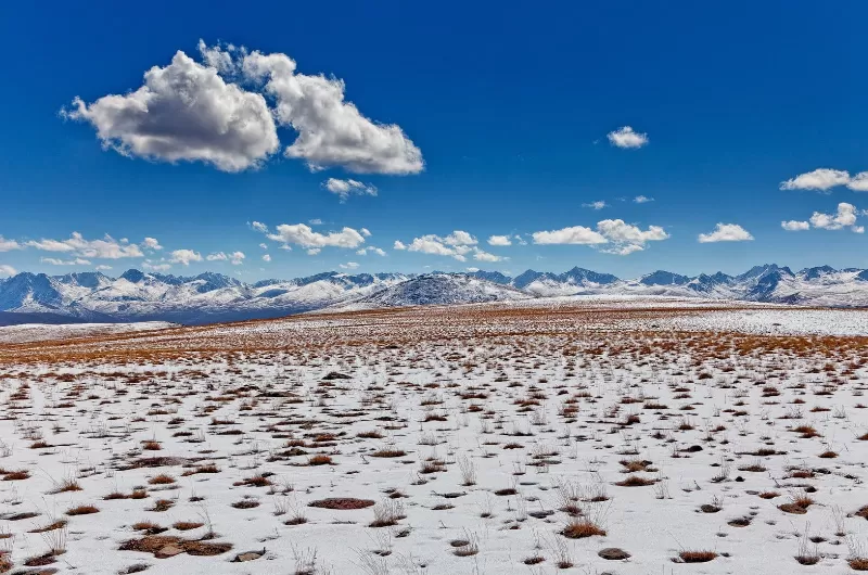 The Stupendous Deosai Plains