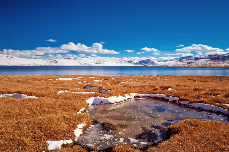 The Stupendous Deosai Plains