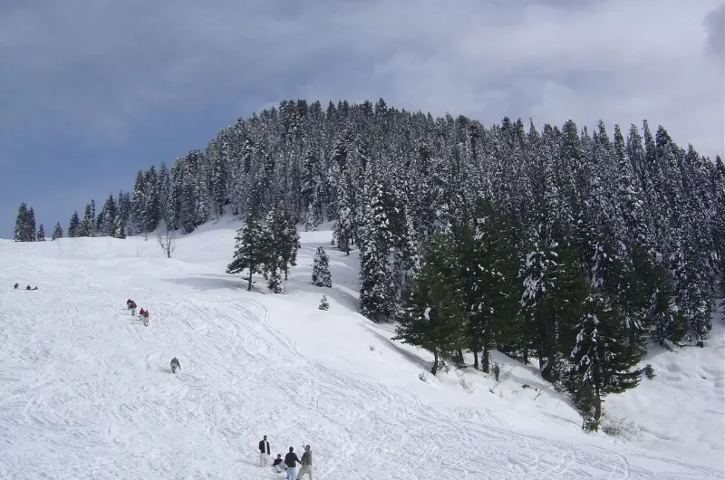 1 Day Tour to Malam Jabba Skiing Resort