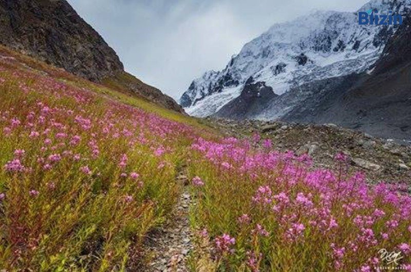 3 days 2 nights islamabad to chitral valley standard group tour spring package