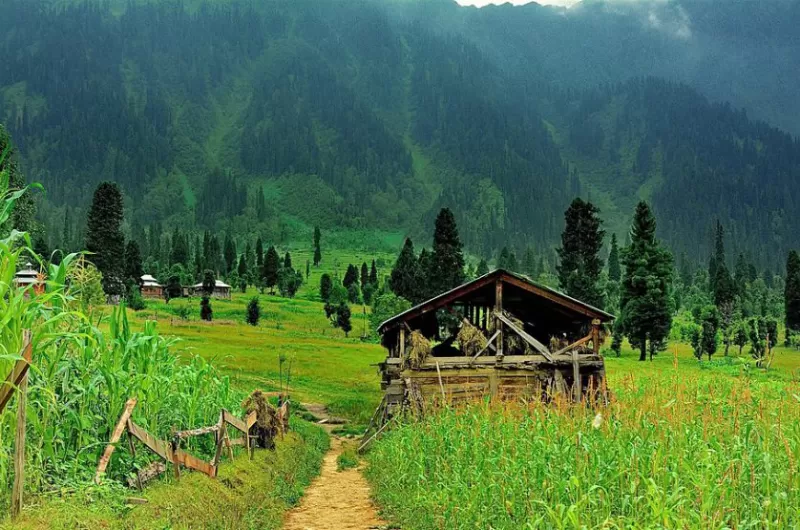 3 Days Trip To Kashmir