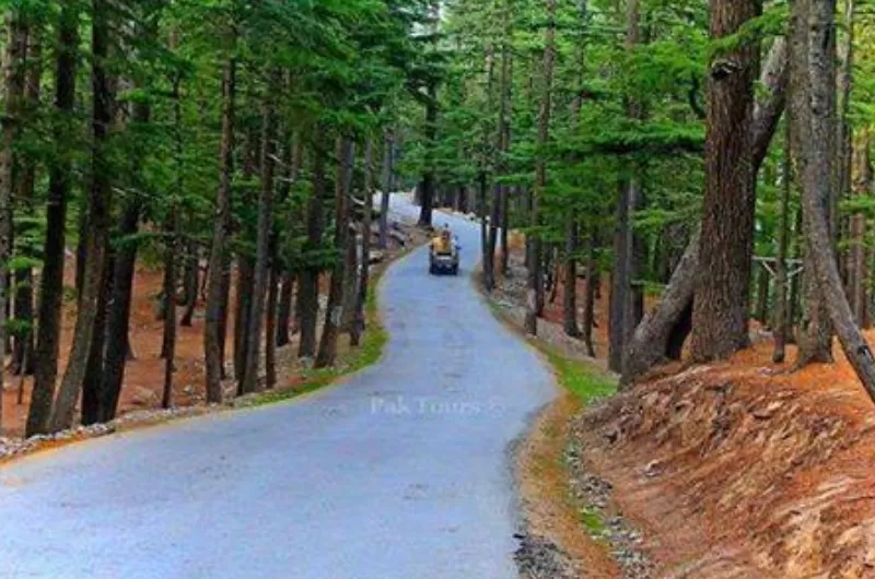 3 nights & 4 Days Swat valley tour