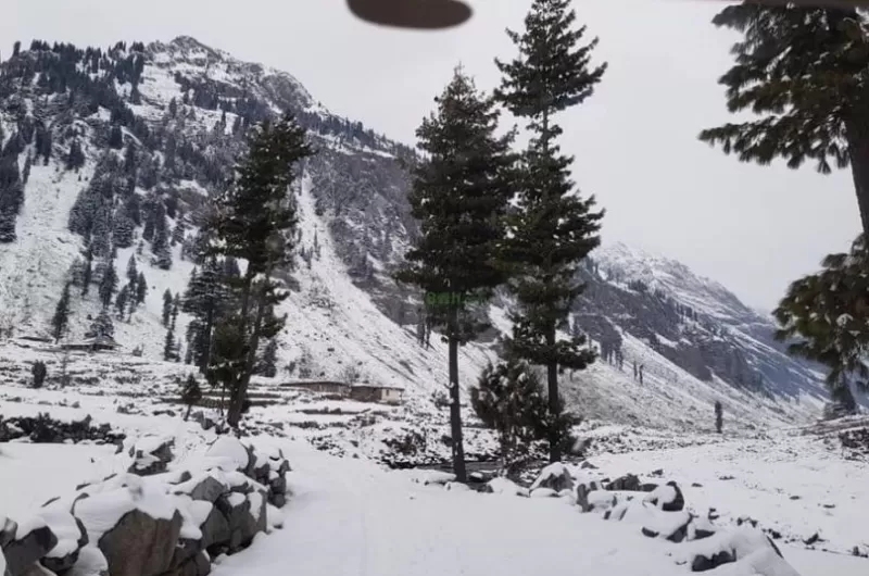 4 Days Honeymoon Trip To Swat