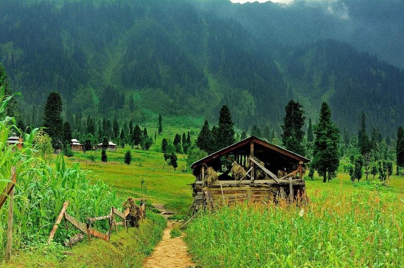 4 Days Private Honeymoon Tour To Neelam Valley and Nathiagali