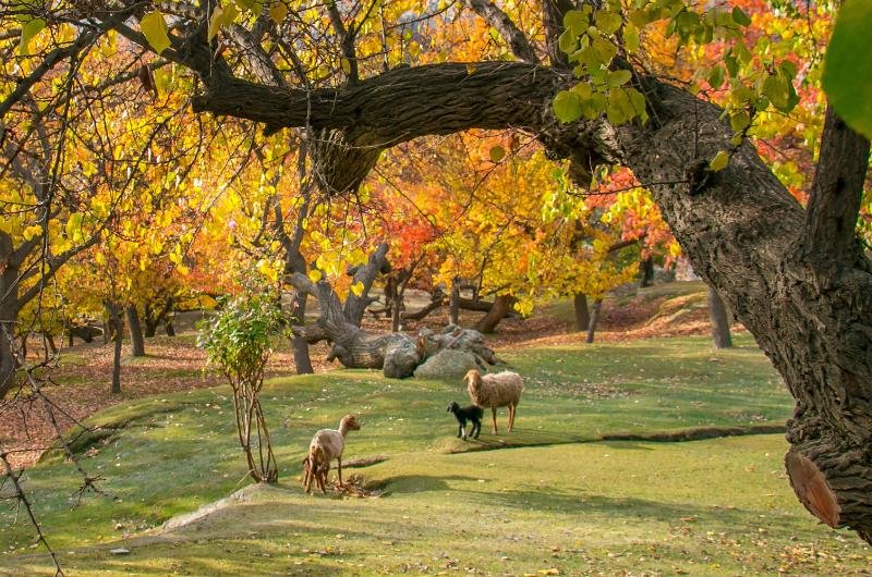 5 Days Autumn tour to Hunza Valley