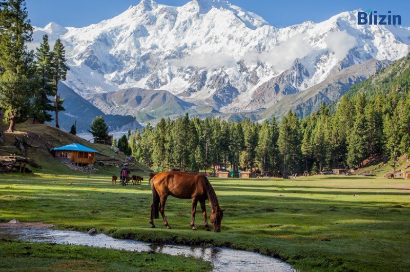 5 DAYS FAIRY MEADOWS TOUR PACKAGE