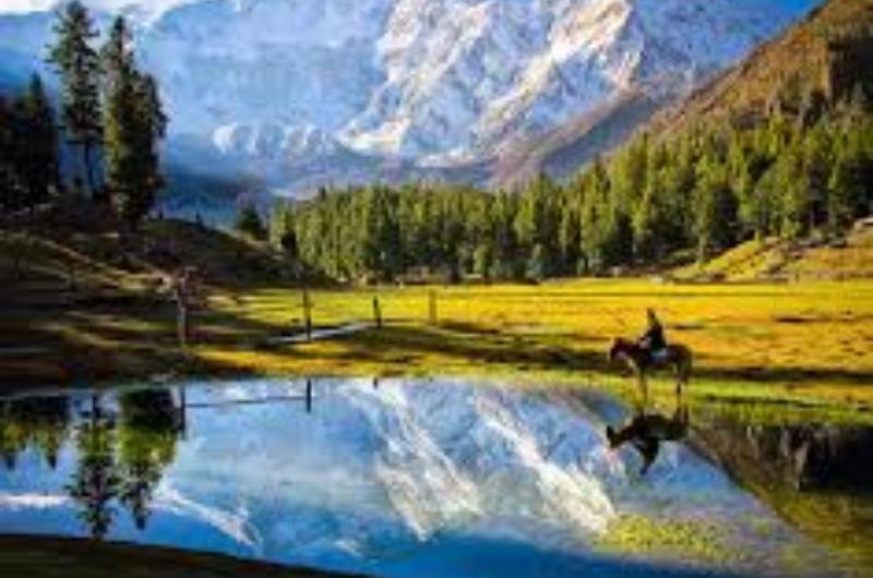 5 Days Trip to Fairy Meadows & Naran.