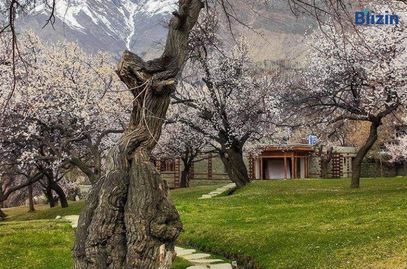 6 days 5 nights islamabad to hunza valley standard honeymoon tour spring package