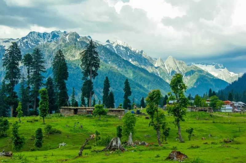 6 Days trip to Hunza, Nagar & Naltar Valley