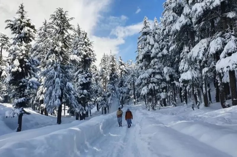 7 Days Executive Tour To Swat – For Foreigners