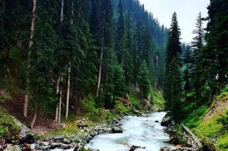 7 Days Executive Tour To Swat – For Foreigners