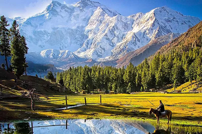 7 Days tour to Hunza, Fairy Meadows, and Naran.