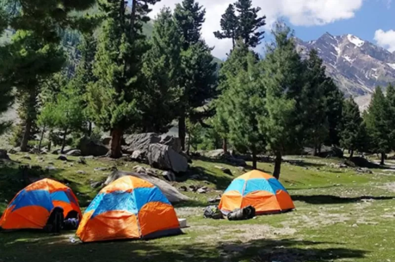 Trip to Minimarg, Astore Valley & Rama Meadows