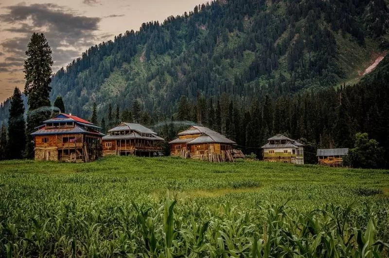 Trip to Neelum Valley, Kashmir(4 Days/3 Nights)