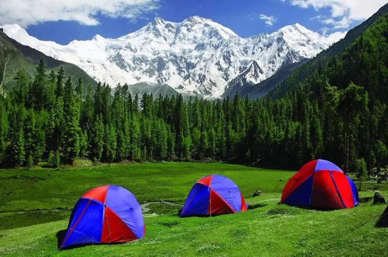 Winter Survival New year celebrations at Fairy meadows.